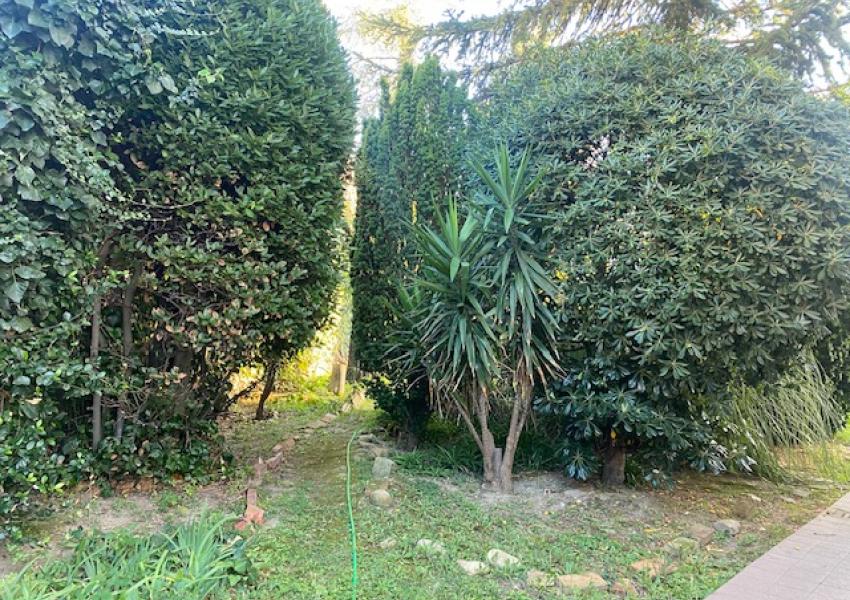 Pesaro, zona Soria - Appartamento in Affitto | Foto 4