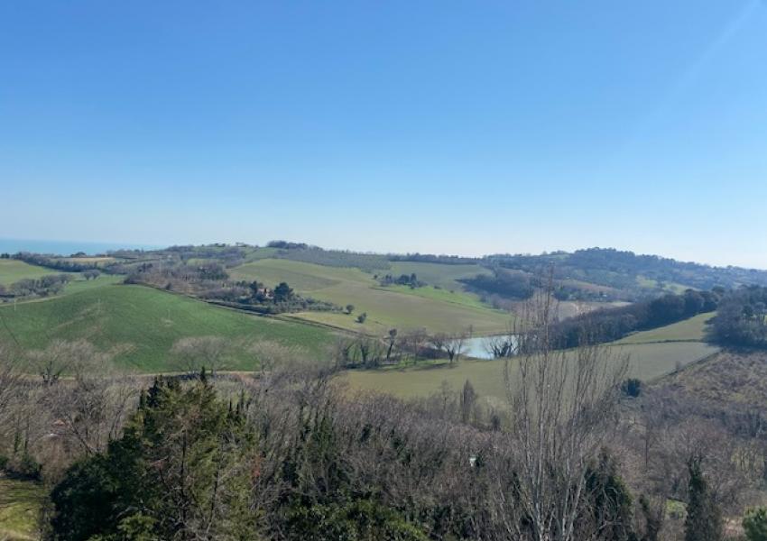 Pesaro, zona Trebbiantico - Casa Schiera / Porz.Casa in Vendita | Foto 12