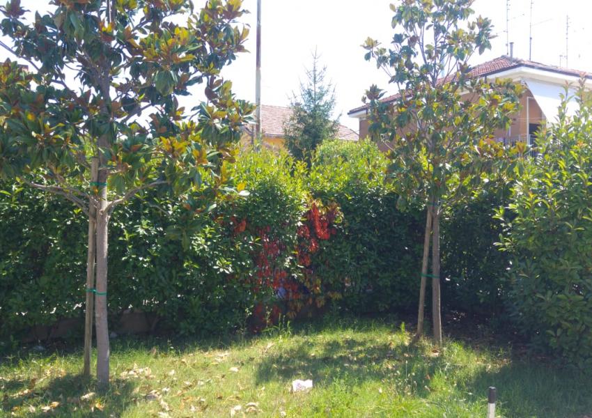 Pesaro, zona Muraglia - Casa Schiera / Porz.Casa in Vendita | Foto 5