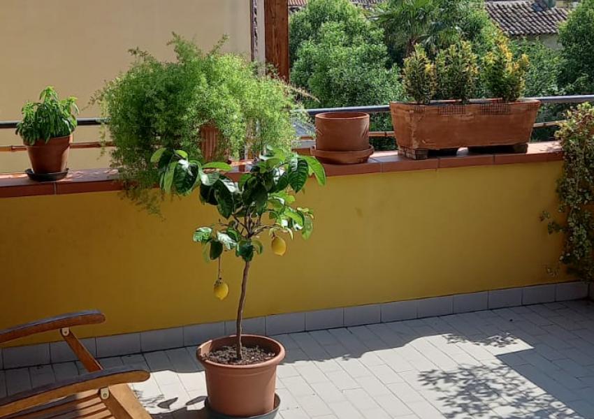 Pesaro, zona Santa Veneranda - Casa Schiera / Porz.Casa in Vendita | Foto 6